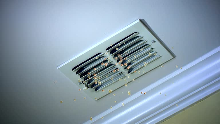 Best Professional Duct Cleaning Services  in Centerton, AR